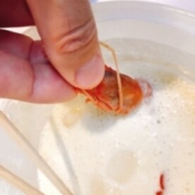 サクッと揚げてカリッとおかしら付き 赤エビの天ぷら レシピ 作り方 By えだ豆カシューナッツ 楽天レシピ サクッと揚げてカリッとおかしら付き 赤エビの天ぷら レシピ 作り方 By えだ豆カシューナッツ 楽天レシピ